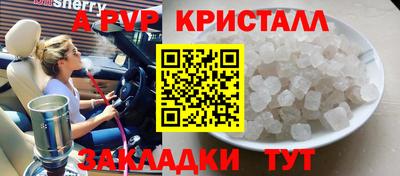 прущие грибы Заволжье